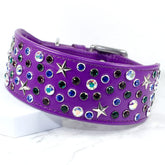Starry Night Star Studded Greyhound Collar by Petiquette